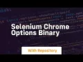 selenium chrome options binary