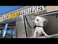 Pet Supermarket Self-Service Dog Wash Review