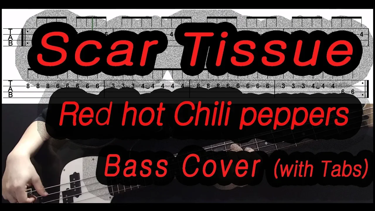 Red Hot Chili Peppers - Scar Tissue (Bass cover with tabs 111) Red Hot Chili Peppers - Scar Tissue (Bass cover with tabs 111)