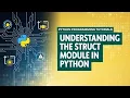 What is the struct Module in Python