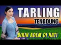 Download Lagu TARLING TENGDUNG SPESIAL JELAJAH ALAM DESA - MUSIC TARLING ADEM DI HATI