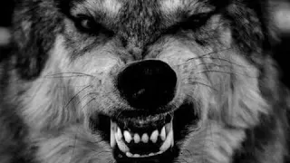 عراقي اني الشاعر عباس جيجان مع اغنية حسن الأسمر 