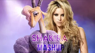 Waka Waka Zoo Shakira Mashup  Waka Waka Zoo Shakira Mashup