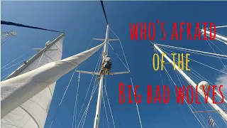Who’s afraid of the big bad wolf? [Ep 7] Sailing Salacia Star