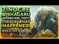What Happend To Title Update 5 Where Is Zingore and Shagaru Magala Rathalos Watch