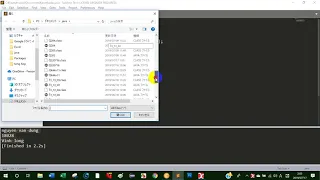 Compile and Run Java in Sublime text 3 - Dung Channel