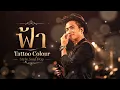 ฟ้า -Tattoo Colour [Style.Soul Pop]
