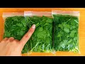 How to Preserve Cilantro for 1 YEAR - No Spoilage No Freezer Needed Clever Tricks