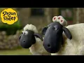 Lagu Mama Sheep 🐑 Shaun the Sheep 🐑  - Cartoons for Kids 🐑 Full Episodes Compilation [1 hour]