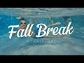 The Pack Does Fall Break in KALAHARI