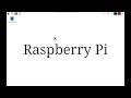 Python with Raspberry Pi - Using raw