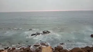 فيديو قصير للمونتاج بدون حقوق الطبع و النشر الطبيعة البحر 