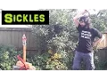 Sickles in HEMA with test cutting
