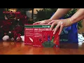 Make Longs a Part of Your Day - Holiday Decorations