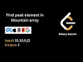 18 Find Peak Element In Mountain Array LeetCode 162 Binary Search Hindi
