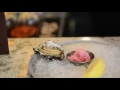 DineAround Seattle Salt Iron