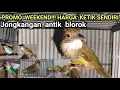 Download Lagu PROMO WEEKEND❗❗❗ HARGA KETIK SENDIRI❗ JONGKANG ANTIK BLOROK❗❗❗ 