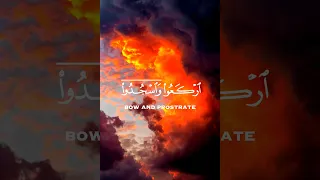 يا أيها الذين آمنوا اركعوا و اسجدوا واعبدوا ربكم وافعلوا الخير لعلكم تفلحون قران كريم قرأن قرآن 