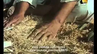 أقوى مشاهد فيلم الأرض دندنها