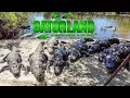 Why Gatorland Orlando is TOTALLY Worth Doing