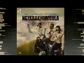 Hbeatz, Mellow & Sleazy, Scotts Maphuma  - Ngyabakhumbula [ Visualizer ]