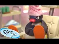 Download Lagu Pampering Pingu! 🐧 | Pingu - Official Channel | Cartoons For Kids