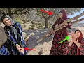 Download Lagu With hope and effort, the pregnant cobra built a shelter in the mountain.