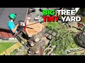 This BIG TREE Removal Needed A Bigger Yard - Massive Cedar Felling