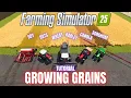 GROWING GRAINS - TUTORIAL