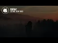 Lost Kings - Runaway (ft. Destiny Rogers) (Lyrics)