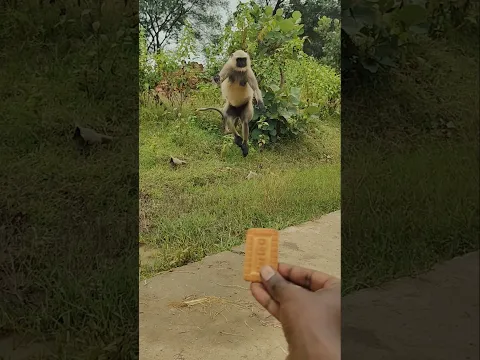 Bajrang ❤️❤️