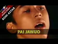 Download Lagu PAI JAWUO - RONI ASTAR (OFFICIAL MUSIC VIDEO)