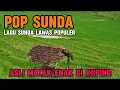 Download Lagu LAGU SUNDA LAWAS PALING ENAK DI DENGAR || ENAKEUN PISAN