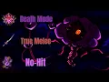 Calamity Mod 2 1 All Death Mode Bosses No-Hit w True Melee