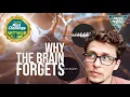 Why do we forget The neuroscience of memory