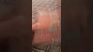 Wreck It Ralph 2013 DVD Review 