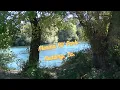 Marina Rv park tour Redding Ca