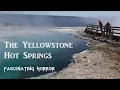 The Yellowstone Hot Springs A Short Documentary Fascinating Horror