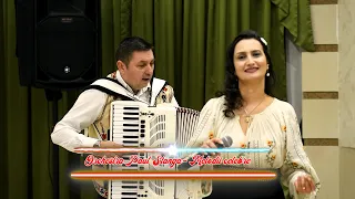 orchestra paul stanga colaj de melodii celebre hore de neuitat 2021