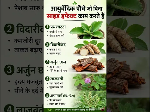 बिना Side Effect काम करते हैं ये 5 आयुर्वेदिक पौधे! 🌿😱 | Ayurveda Health Tips