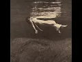 Skating In Central Park - Bill Evans & Jim Hall