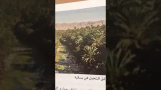 الصحراء الجزائرية وأدب الرحلة الفرنسي 
