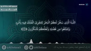 سورة الجاثيه تلاوه رائعه للمبدع محمود الشحات انور 