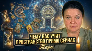 Чему вас учит Пространство пряио сейчас.Таро.