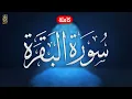 Download Lagu سورة البقرة كاملة هزاع البلوشي  | Surat Al Baqarah complete Hazaa Al Balushi