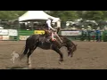 Lefty Holman of Visalia at the 2019 Livermore Rodeo