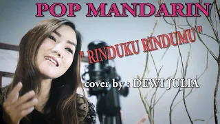 Download RINDUKU RINDUMU - cover : DEWI JULIA MP3