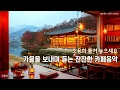 [Playlist] 🍁마지막 가을을 보내며 듣는 잔잔한 카페음악 ☕커피와 함께 마음 편하게 듣는 감성음악 🎶선율향기#110