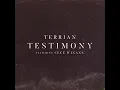 Testimony