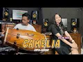 Download Lagu CAMELIA - IRA MAIA Versi Koplo Jaranan by Hengky Kitut
